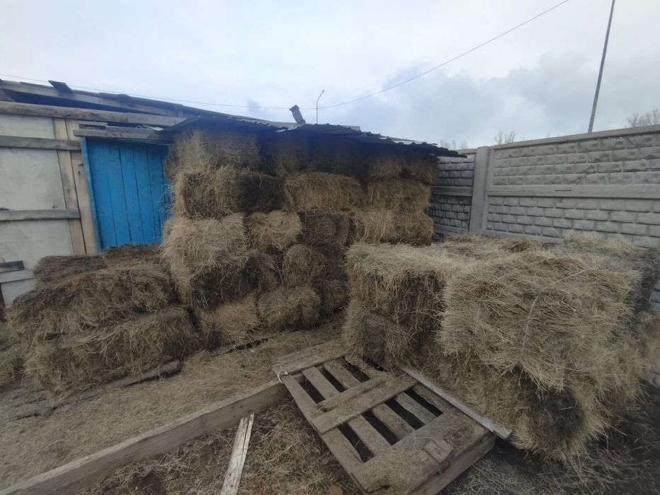 Продам сена в тюках