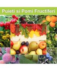 Vand pomi fructiferi | plantam si livram in toata tara