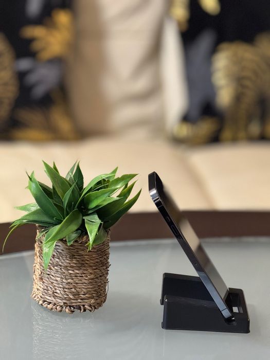 iPhone 13 Pro Max - Sierra Blue