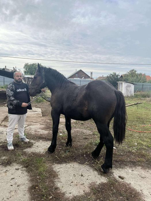 Manji de 1an jumate de vanzare