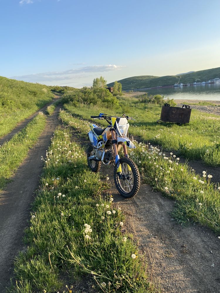 Pit Bike Racer CRF 125e