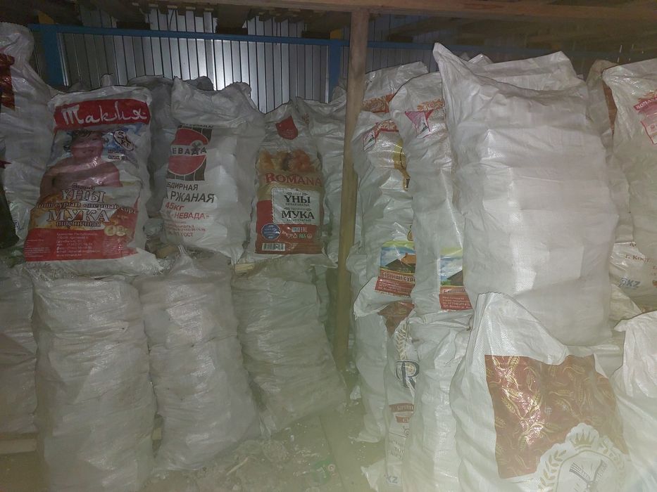 Дрова в мешках сосновые сухие