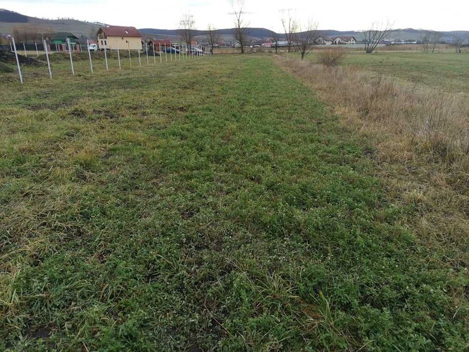 Teren intravilan , Ernei