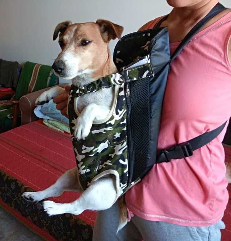 Переноска рюкзак для собак