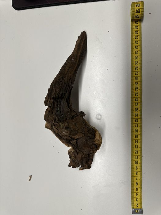 Lemne / radacini acvariu