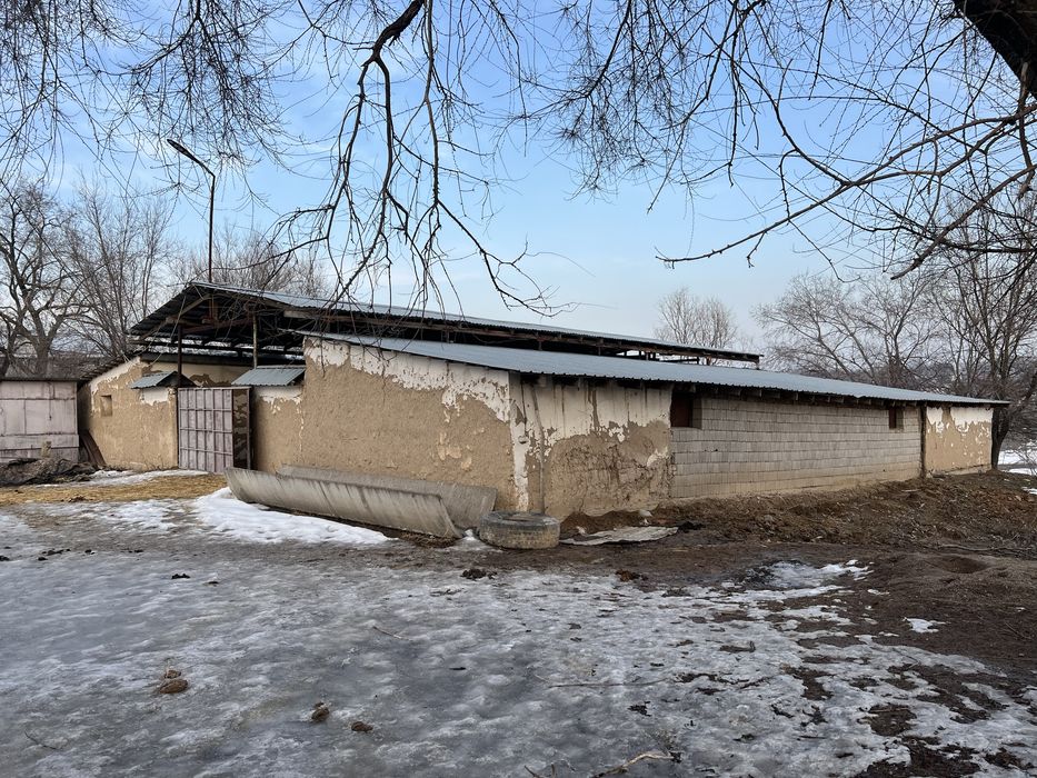 Сдам в аренду Фазенду.