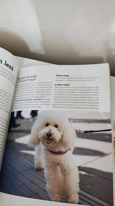 De  ce iubim cainii ghid îngrijire caini