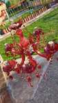 2 Candelabre vintage si o aplica