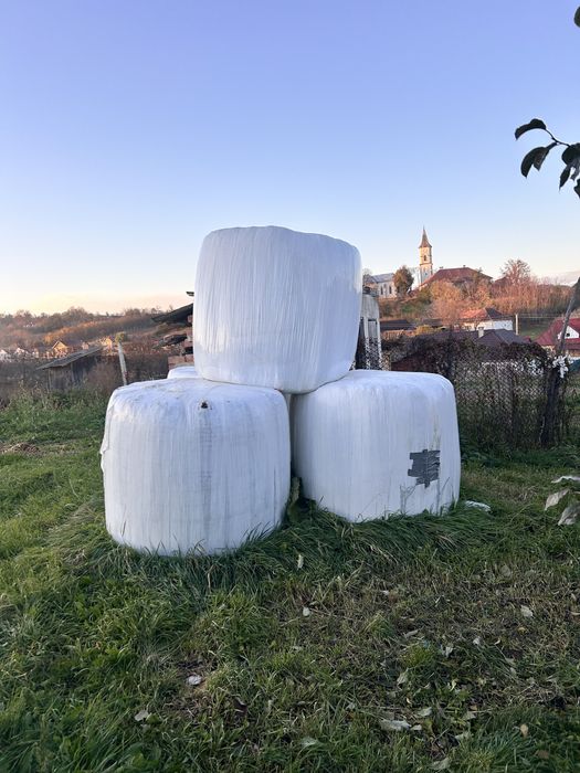 Vand balotii infoliati