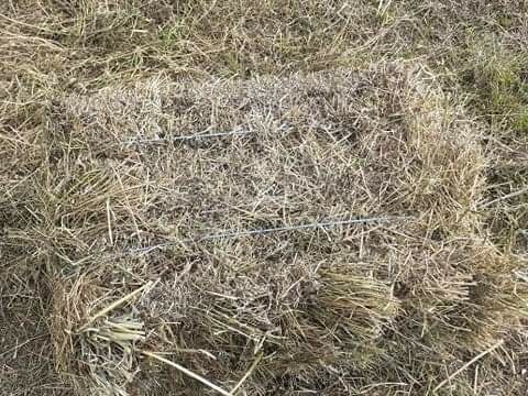 Vând baloti coasa 3