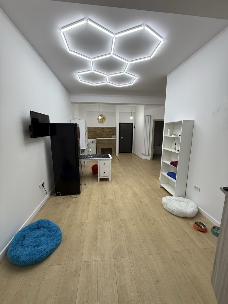 Spatiu comercial/apartament