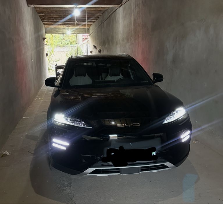 Byd song Chempion 2023