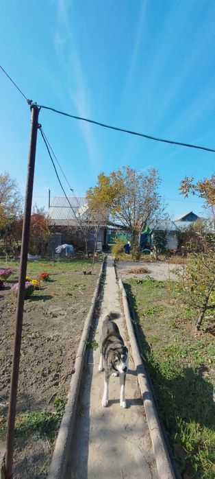 Дача продается !