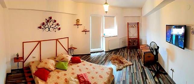 Apartament cu o camera in regim hotelier