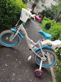 Bicicleta Frozen