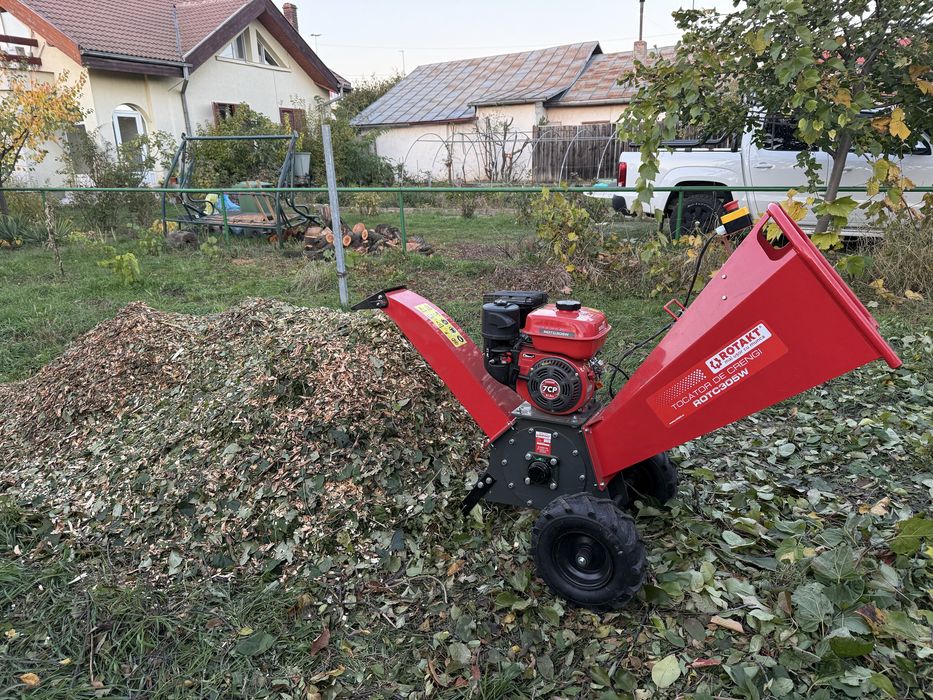 Tăieri /cosmetizare pomi fructiferi !