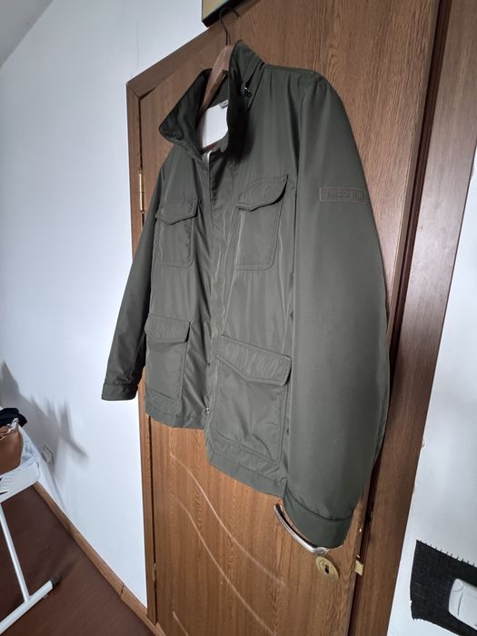 Jacheta  casmir “Falconeri”