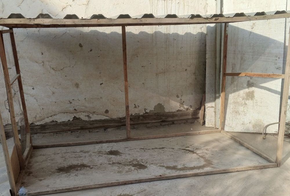 Товук катак сотилади холати яхши.