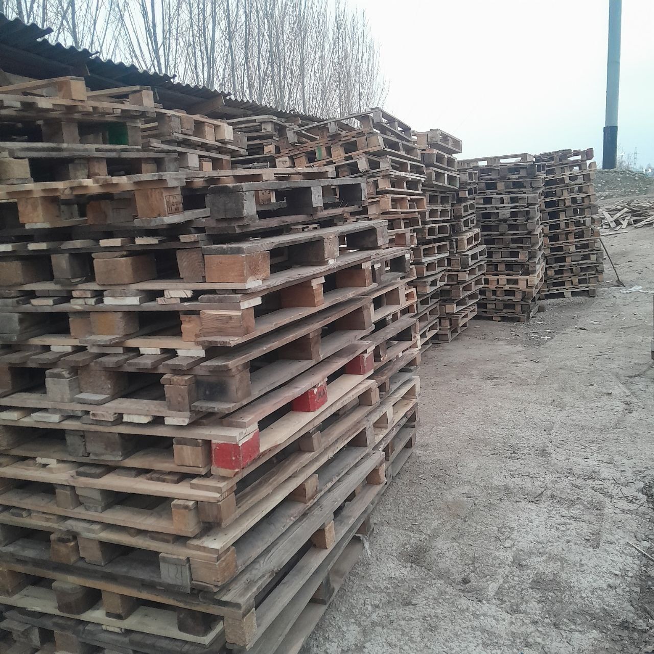 Paddon sotiladi 45.000 somdan