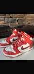 adidasi nike dunk