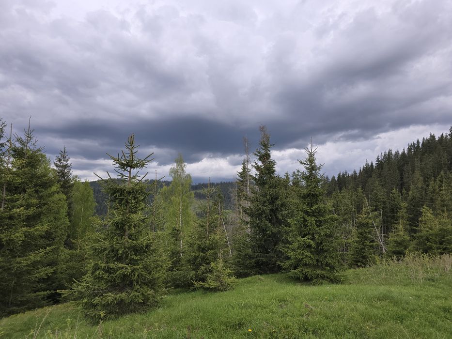 Teren extravilan 164900 MP