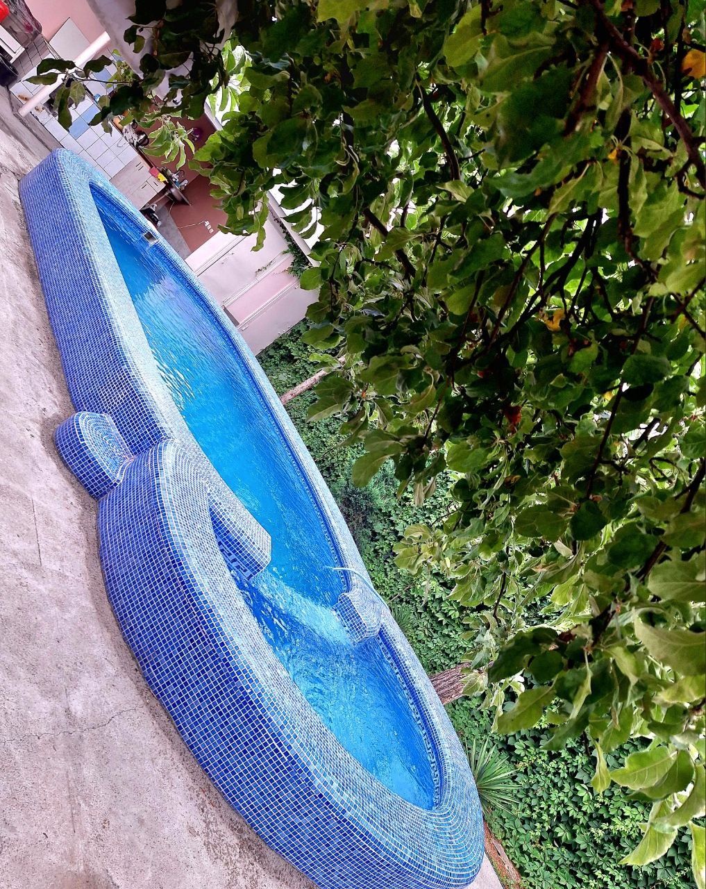 Дача на аренду, чарвак
