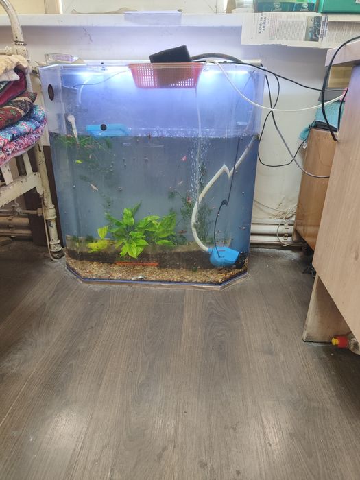 Акриловы аквариум