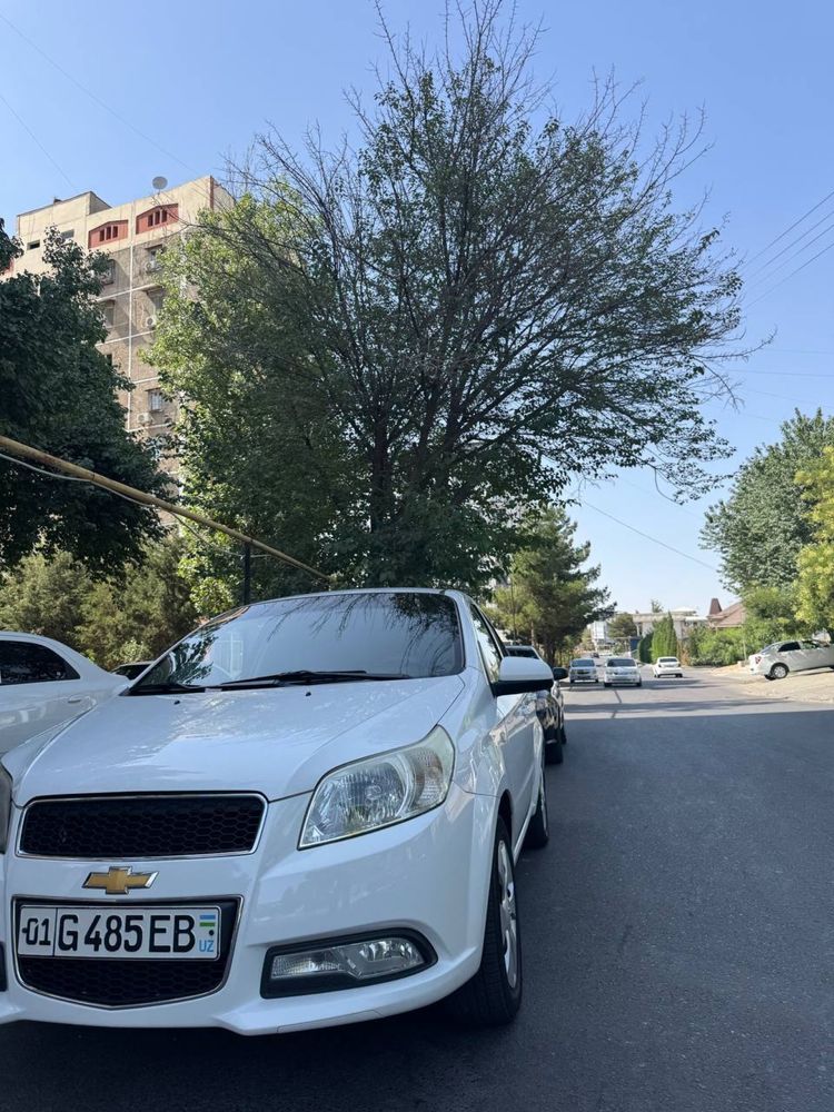 Nexia 3 4 pakalena gazi bor