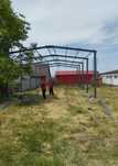 Vand Hala Metalica  7x15 orice lungime