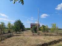 / Teren intravilan  4000 Mp  /  TOPLICENI  /