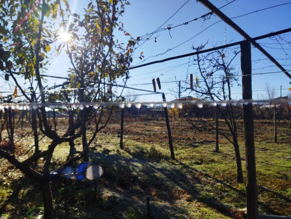 Продава се Къща в с. Драгомир, Област Пловдив - 160 кв.м за 313 €/кв.м - Снимка #2