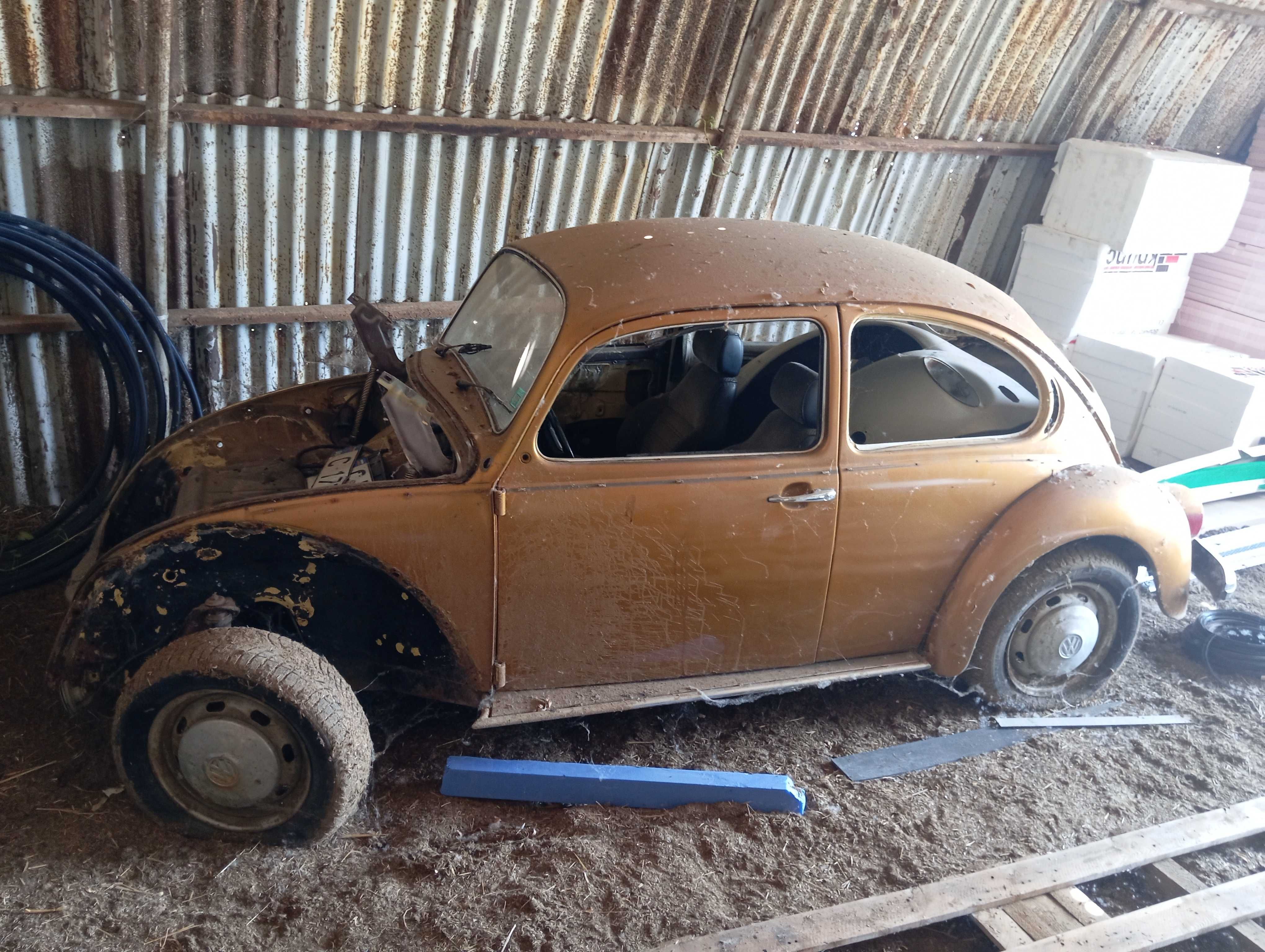 vw 1200 костенурка