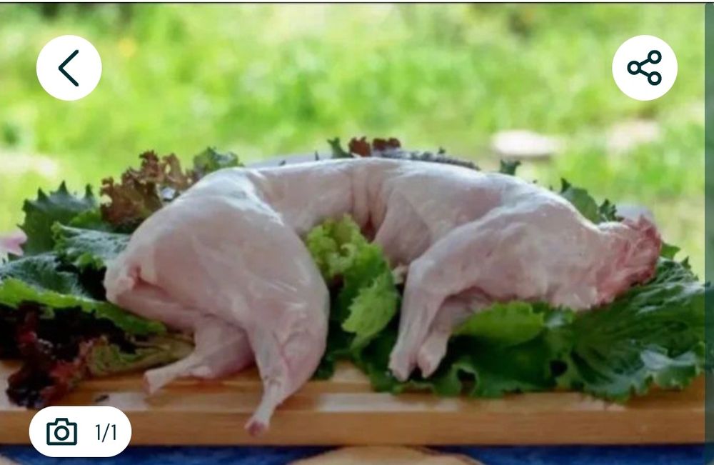 Продаю тушки кроликов.