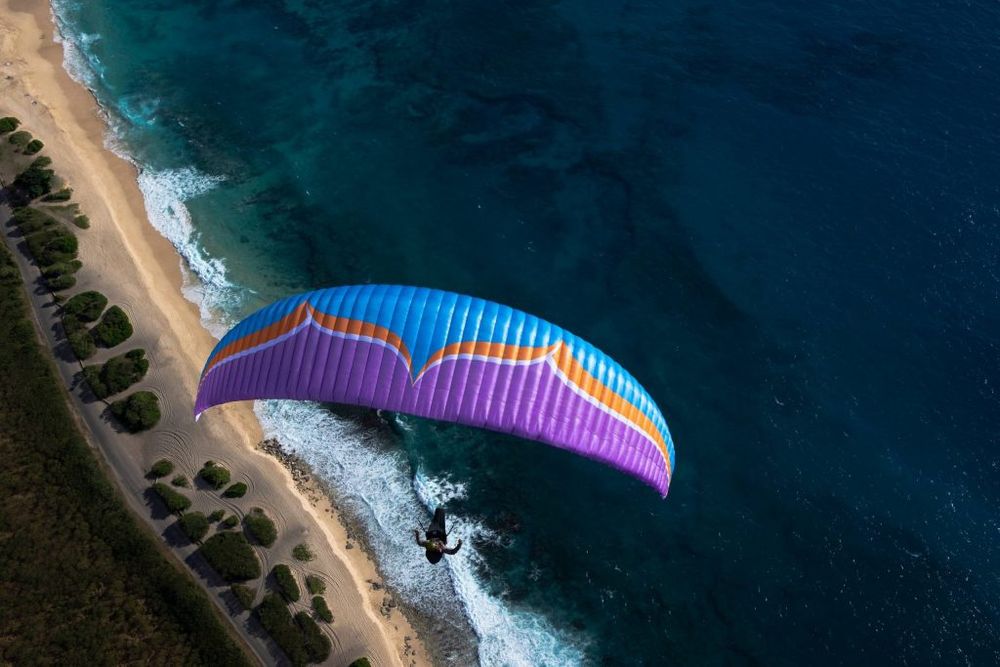 Parapanta ozone Swift 5