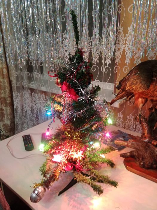 Елка новогодняя