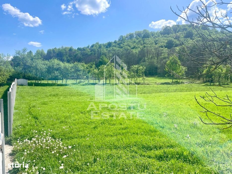 Teren intravilan, partial imprejmuit, eligibil grant- Pojoga, com. Zam