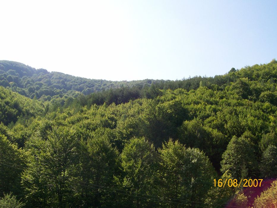 Продава се Земеделски имот в Троян -  кв.м за 7 €/дка - Снимка #6