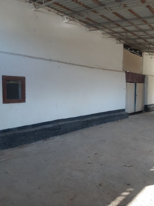 Аренда молхона 20 та бука бокадиган жой бор