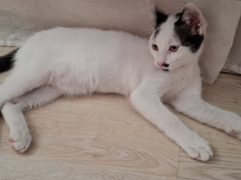 Мъри търси своето семейство