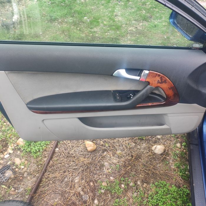 Fete uși audi A3 8P coupe