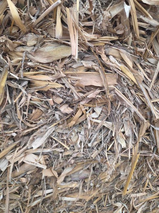 Vând 200 baloti de tulei