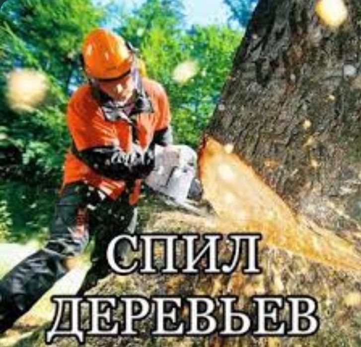 Спил деревьев любой сложности.