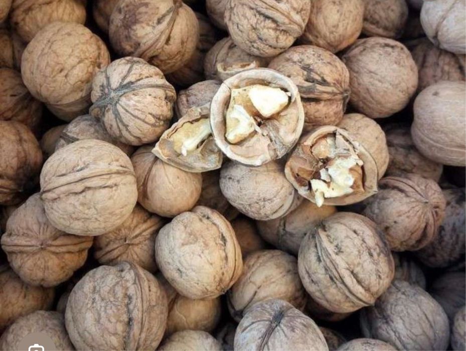 Жаңғақ сатамын! Продам грецкий орех. 1кг -1100