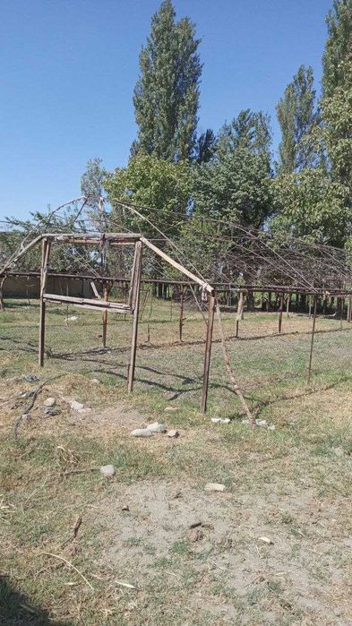 Teplitsa sotiladi