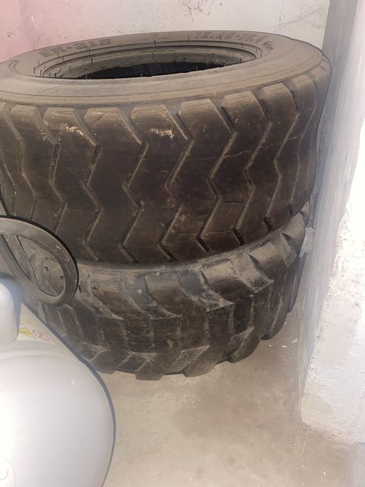 Продам шины на Бобкат.
