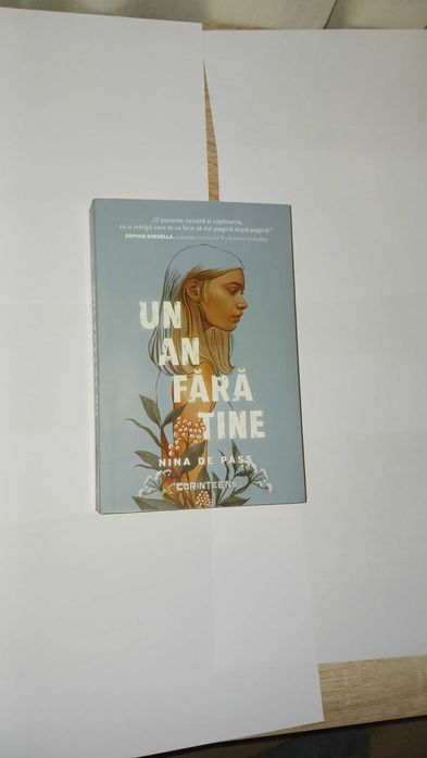 Nina de Pass : Un an fara tine