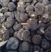 Trufe negre congelate Calitatea 1 Transylvania's Finest Foods 1kg