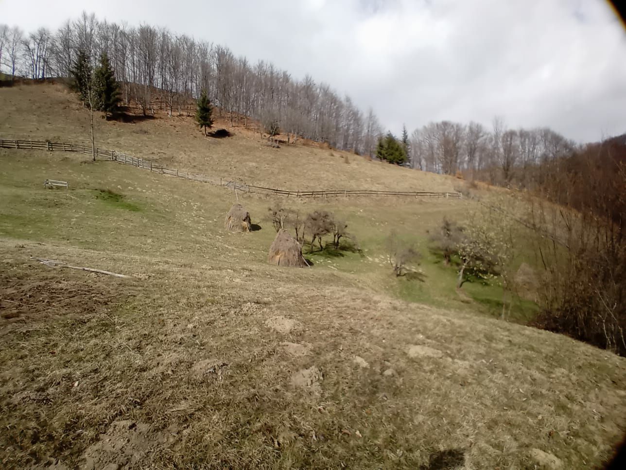 Teren în Apuseni