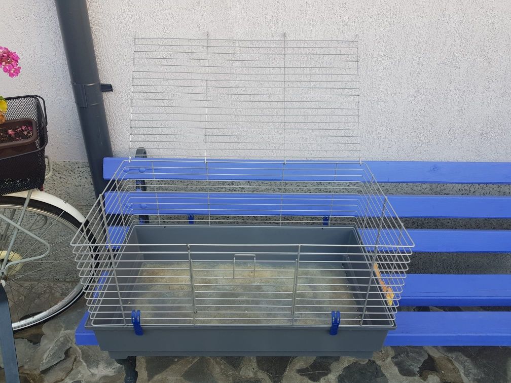 Vand cusca animale de companie