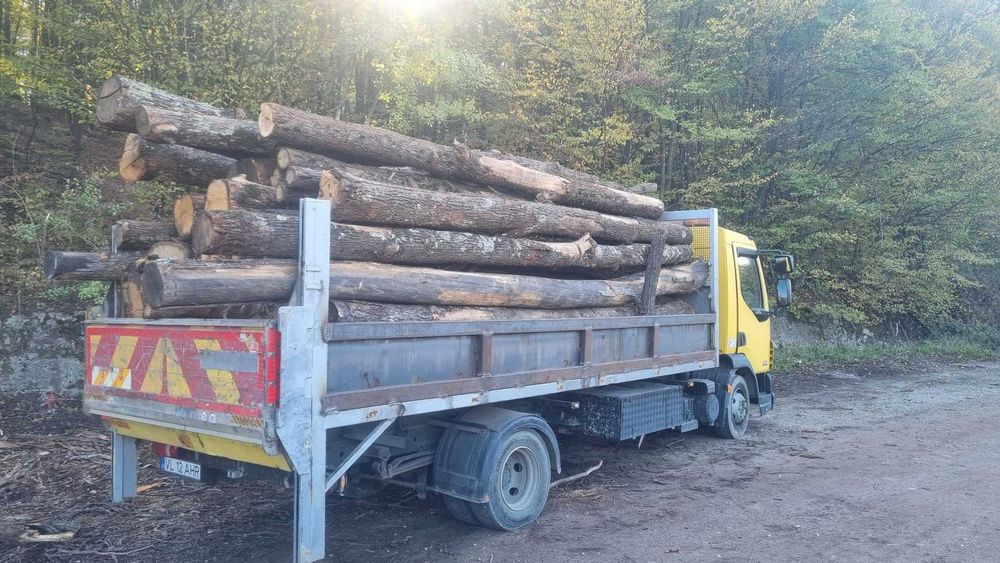 2013 DAF 45.140 Camion basculabil 7.5T lift oblon schimb variante auto